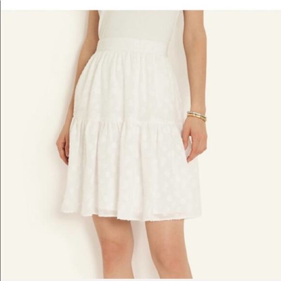 Ann Taylor White Flower Clip Full Skirt - Picture 3 of 8
